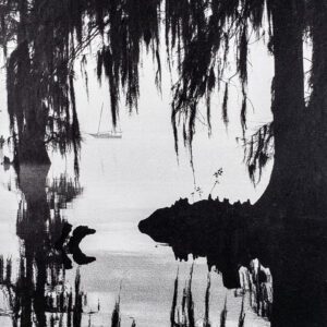 "Spanish Moss Mooring" © WJ Eastman. Approx. 8 x 10" b&w handcrafted alternative process photograph (silver emulsion print from paper negative). Signed, original, editioned print offered by GALLERY5X7.