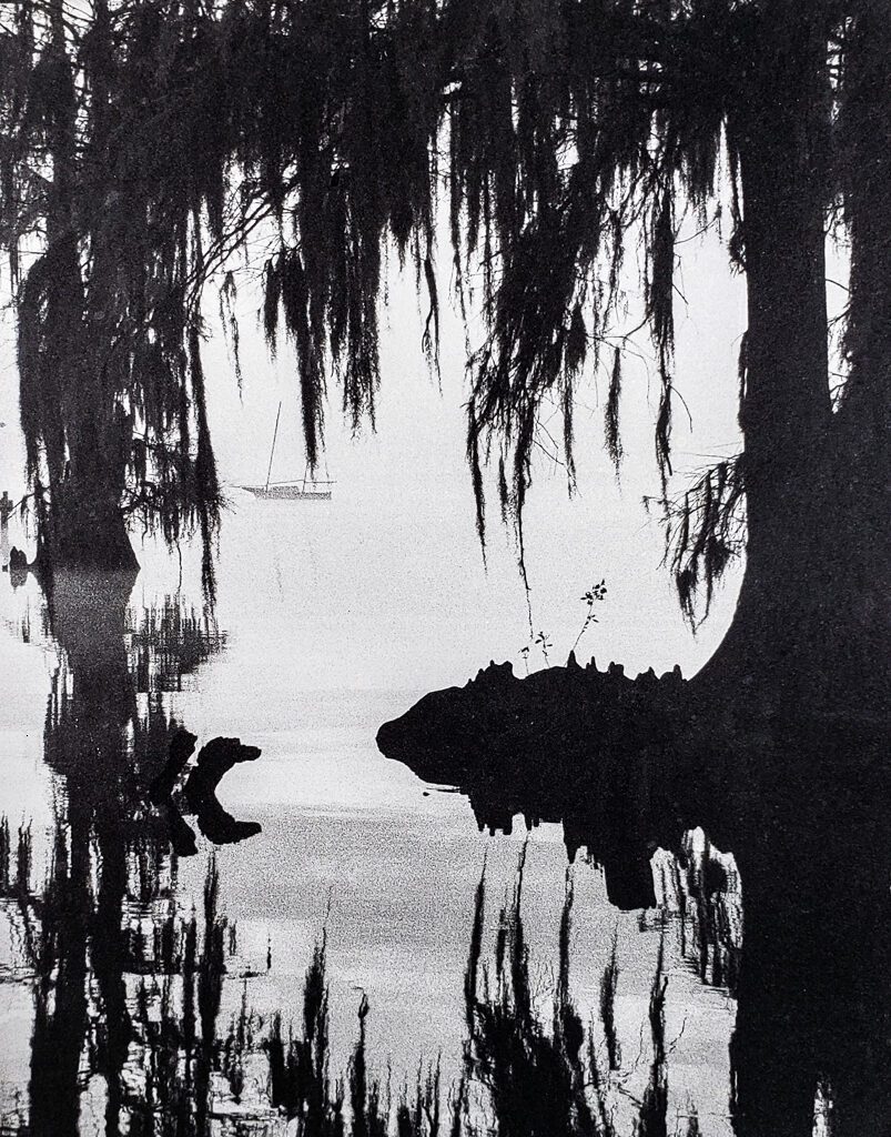 Sailboat moored on the Pamlico River near Washington NC framed by bald cypress and spanish moss. B&W handcrafted alternative process photograph (original silver emulsion print from paper negative). © WJ Eastman Offered by GALLERY5X7