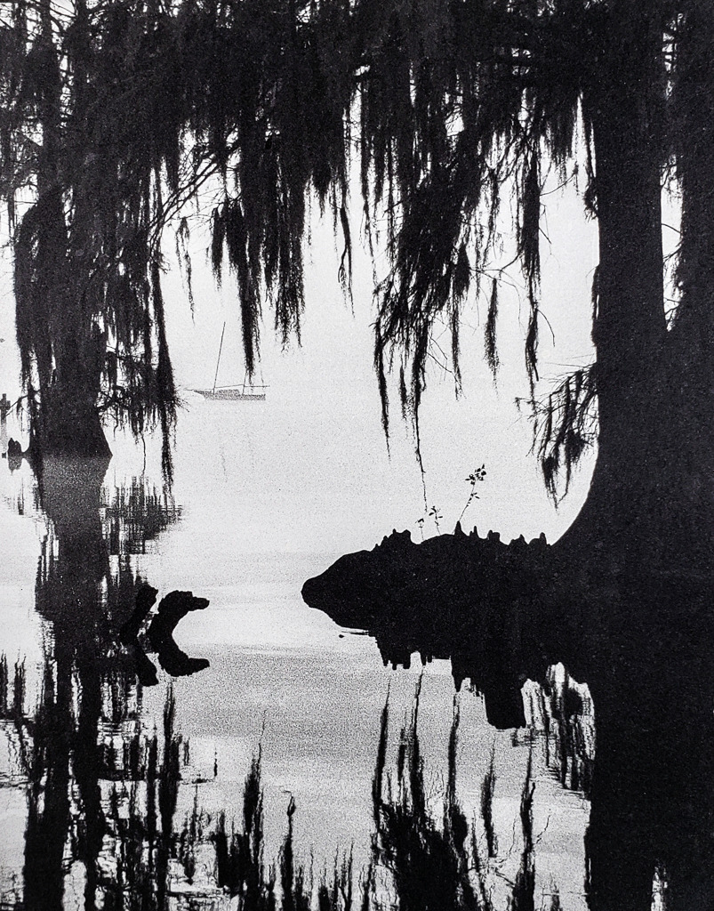 "Spanish Moss Mooring" © WJ Eastman. Approx. 8 x 10" b&w handcrafted alternative process photograph (silver emulsion print from paper negative). Signed, original, editioned print offered by GALLERY5X7.