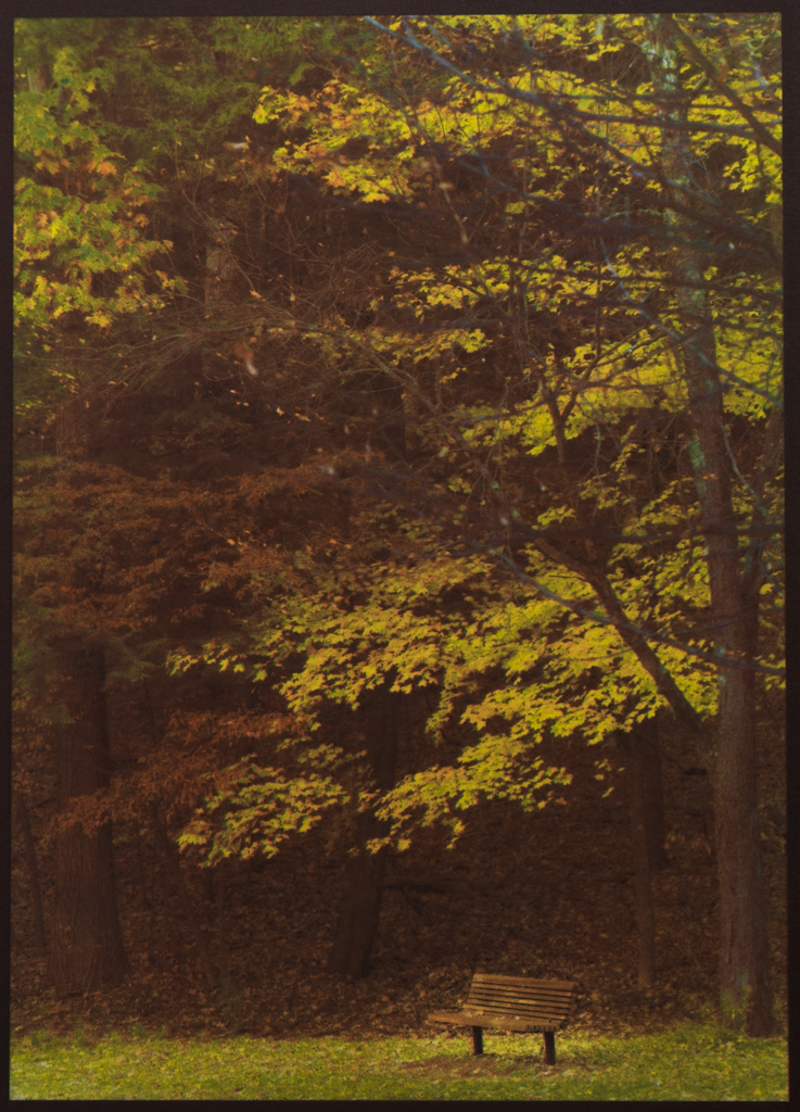 “Autumn, Saratoga Spa Park” © David Aimone. Approx. 8” x 12" handcrafted multi-layer print on Hahnemuhle Platinum Rag (gum bichromate over cyanotype over platinum/palladium). Signed single edition print offered by GALLERY5X7 at $800.