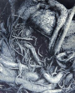"Coiled Roots" © Colin D. Irwin. Approx. 10x8” (25.40x20.32 cm) handcrafted polychrome gum oil print on Stonehenge paper. Signed, single-edition print offered by GALLERY5X7.