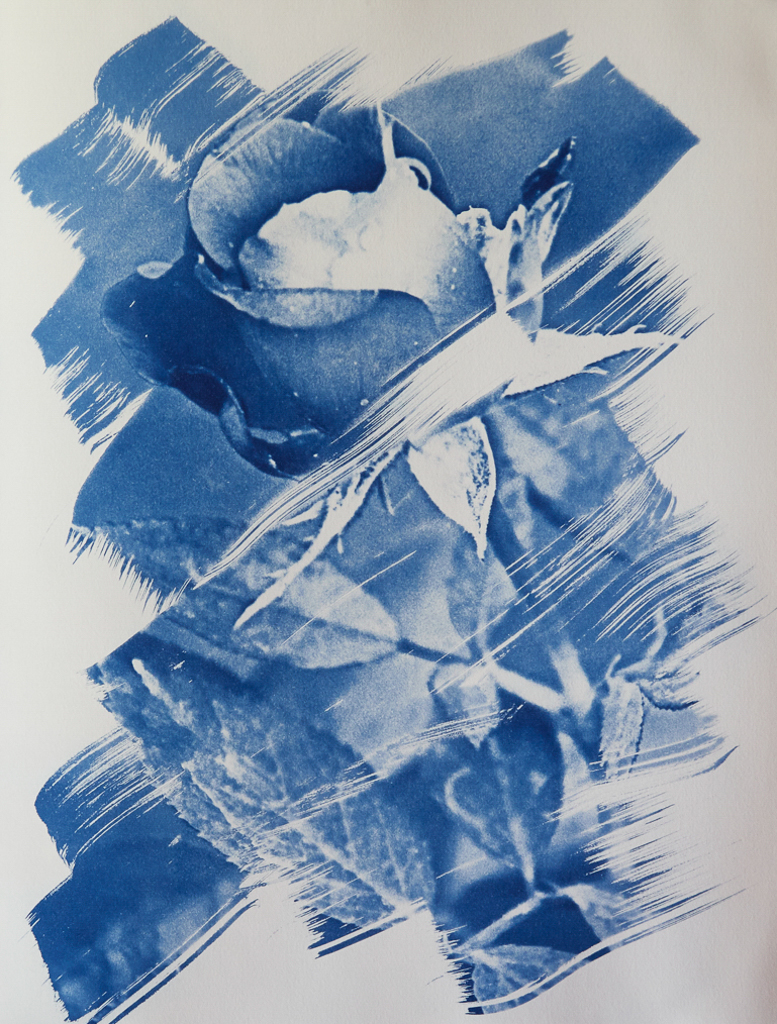 “Dark Beauty in Blue” © Richard Kynast. Approx 27x35cm / 10.6x13.8” on Bergger COT320. Handcrafted alternative process photograph (original traditional formula cyanotype from a digital negative). Print is signed and and one of a kind, offered by GALLERY5X7 at $500.