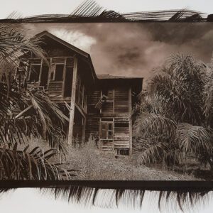 “House in Haunted Grove” © Richard Kynast. “The house is guarded by monkeys.” Approx 17x25cm / 6.5x10” on 11x14” Bergger COT320. Handcrafted alternative process photograph (Kallitype silver solution from a digital negative).