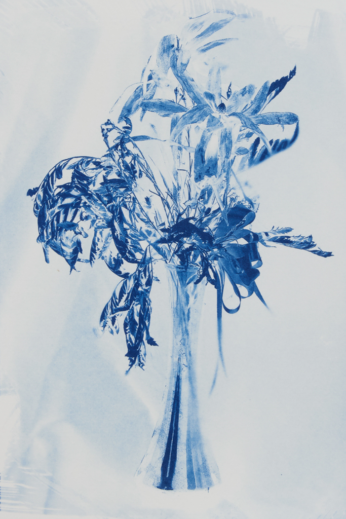“How Love Ends” © Richard Kynast. “Love ends in dead flowers." Approx 24x35cm / 9.4x13.8” on Bergger COT320. Handcrafted alternative process photograph (original traditional formula cyanotype from a digital negative). Print is signed and numbered #3, offered by GALLERY5X7.