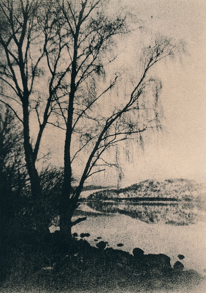 “Loch Rannoch. Trees” © Iván B. Pallí. Approx. 5.5x7.9" (14x20cm) hand-printed silver gelatin lith print on Unibrom paper. Signed and numbered original print, edition 1/5, offered by GALLERY5X7.