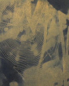 "Web in Yellow” © Colin D. Irwin. Approx. 10x8” (25.40x20.32 cm) handcrafted polychrome gum oil print on Stonehenge paper. Signed, single-edition print offered by GALLERY5X7.