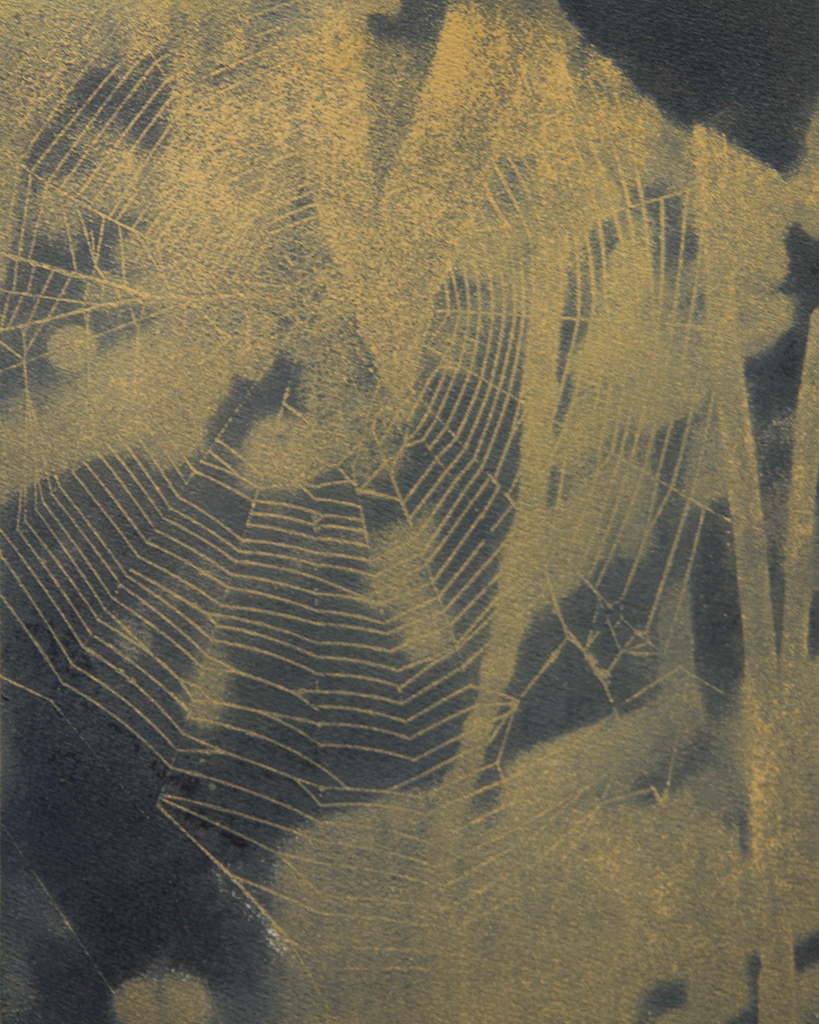 "Web in Yellow” © Colin D. Irwin. Approx. 10x8” (25.40x20.32 cm) handcrafted polychrome gum oil print on Stonehenge paper. Signed, single edition print, offered at $250.