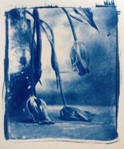"Blue" © Sarah Lycksten. Approx. 4x5" handcrafted alternative process photograph (cyanotype print from glass wet plate negative on Arches fine art paper). Signed original print offered by GALLERY5X7.