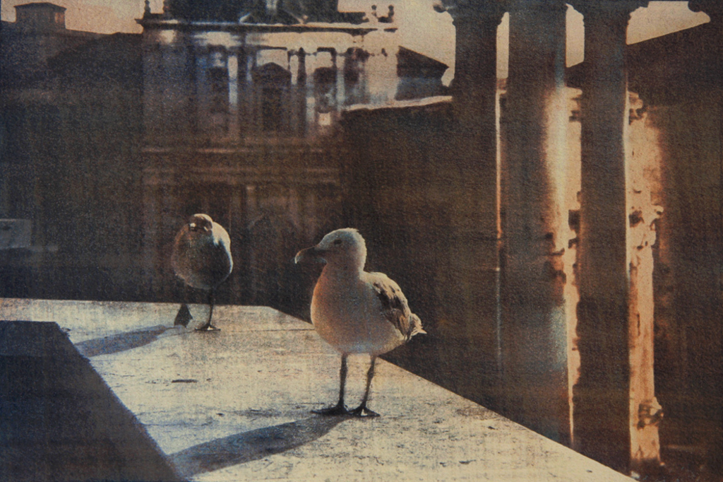 “The Owners Of The City" © Anna Melnikova. Rome, Italy. Approx. 7x11" (18.5x27.5cm) handcrafted alternative process photograph (gum bichromate print from a single negative, four natural-pigment color layers on Lana watercolor paper). GALLERY5X7 offers this original, signed print.