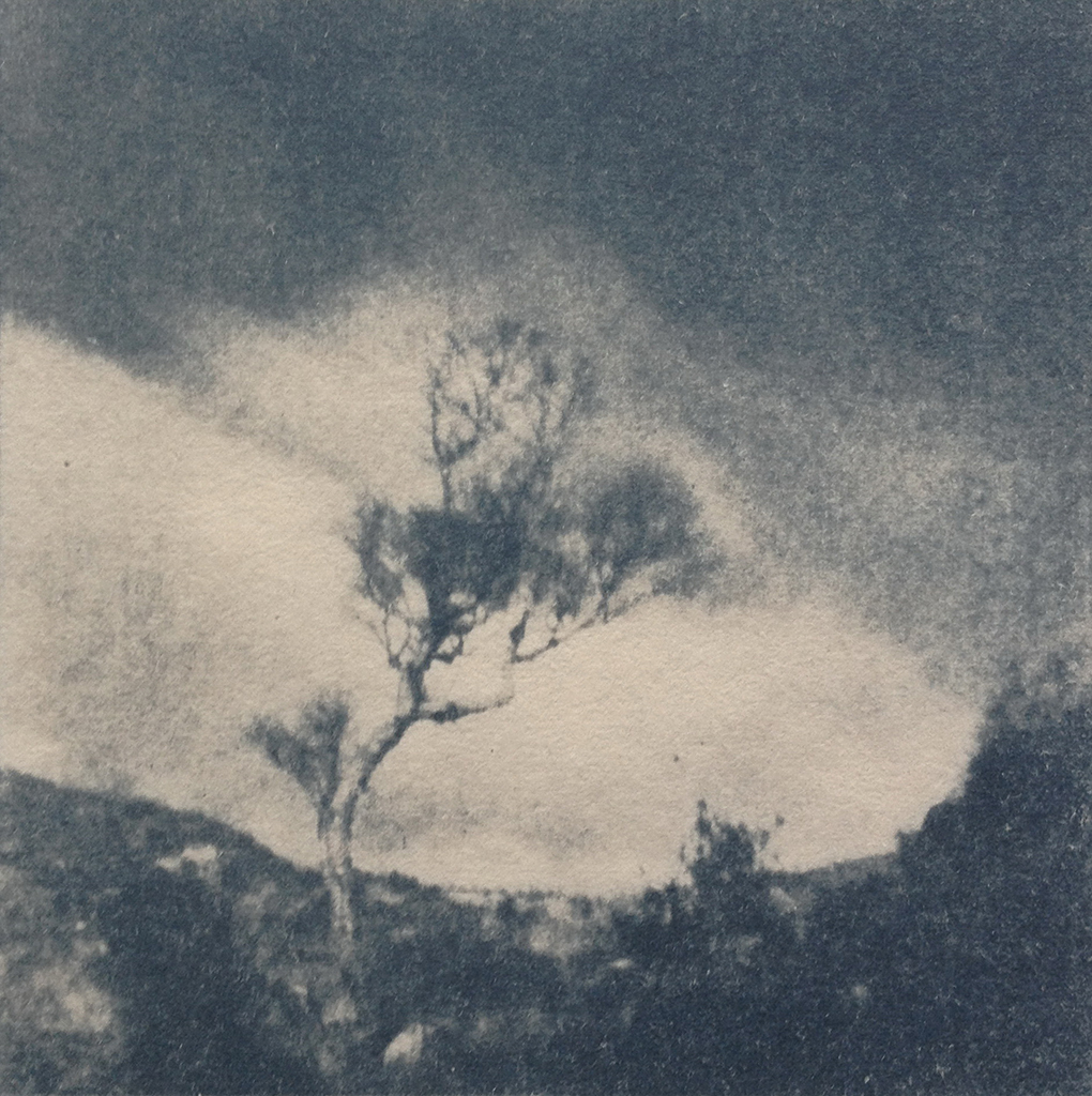 "Donnegal" © Victor Senkov. Print from handmade pinhole plate from vintage Soviet Svema B/W film. Approx. 5.1x5.1" (13x13cm) handcrafted alternative process photograph (cyanotype, toned). GALLERY5X7 offers this signed, numbered and stamped original artist print at $250.