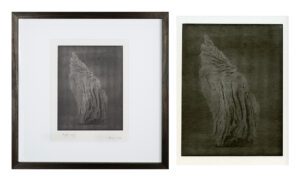 "Angels Wing 3" © Mat Hughes. Approx. 7x9.5" (18x24cm) handcrafted warm-toned silver gelatin tree bark still-life study from scanned large format 4x5 negative. Printed on fibre paper and bonded on 16x16" (40.5x40.5cm) Forex foamboard ready for framing. Edition of 3 unique, signed prints.