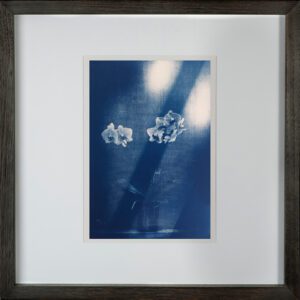 "Ester’s Orchid 2" © Mat Hughes. Approx. 6.75x9.5" (17x24cm) handcrafted cyanotype still-life study behind screen from scanned large format 4x5 negative. Printed on watercolour paper and bonded on 16x16" (40.5x40.5cm) Forex foamboard ready for framing. Edition of 5 unique, signed prints.