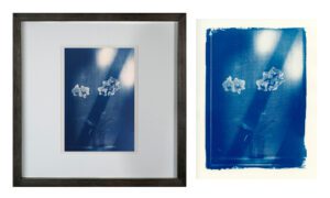 "Ester’s Orchid 3" © Mat Hughes. Approx. 6.75x9.5" (17x24cm) handcrafted cyanotype still-life study behind screen from scanned large format 4x5 negative. Printed on watercolour paper and bonded on 16x16" (40.5x40.5cm) Forex foamboard ready for framing. Edition of 5 unique, signed prints.