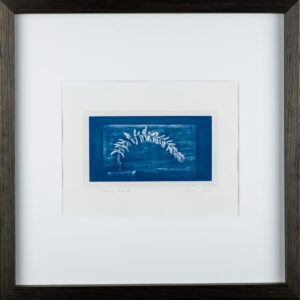 "Flowering Tamarisk 2" © Mat Hughes. Approx. 4.5x7.9" (11.5x20cm) handcrafted cyanotype still-life study from scanned large format 4x5 negative. Printed on watercolour paper and bonded on 16x16" (40.5x40.5cm) Forex foamboard ready for framing. Edition of 4 unique, signed prints.