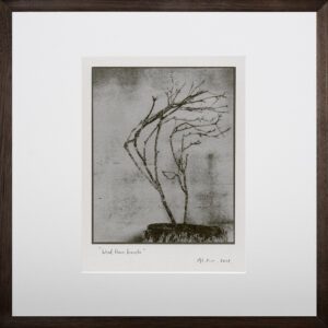 "Windblown Branch 2" © Mat Hughes. Found, Little Desert National Park, Victoria. Approx. 6.5x8.5" (16.5x21.5cm) handcrafted silver gelatin tree bark still-life study from scanned large format 4x5 negative. Printed on fibre paper and bonded on 16x16" (40.5x40.5cm) Forex foamboard ready for framing. Edition of 3 (last print!) unique, signed prints.