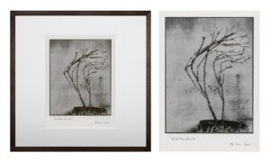 "Windblown Branch 3" © Mat Hughes. Found, Little Desert National Park, Victoria. Approx. 6.5x8.5" (16.5x21.5cm) handcrafted silver gelatin tree bark still-life study from scanned large format 4x5 negative. Printed on fibre paper and bonded on 16x16" (40.5x40.5cm) Forex foamboard ready for framing. Edition of 3 (last print!) unique, signed prints.