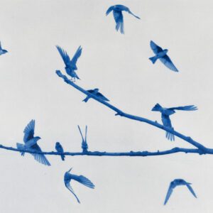 “Swallows" © Andy Kraushaar. Approx. 8x12" (20.3x30.5cm) handcrafted alternative process photograph (cyanotype) printed on Hahnemuhle Platinum Rag. GALLERY5X7 offers this signed, original print.