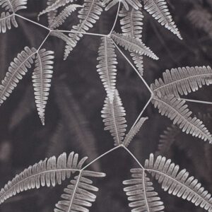 “Fern Study Island of Hawaii” © Tom Wise. Fern Study from Hawaii Tropical Bio-reserve and Garden, Island of Hawaii. Approx. 6x9" (15.2x22.9cm) handcrafted alternative process photograph (palladium and gold-toned kallitype). GALLERY5X7 offers this signed, original print.