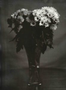 “Flowers” © Barry Mayfield. Approx. 9X11.5“ (23X28.5cm) handcrafted alternative process photograph (silver gelatin lith print). GALLERY5X7 offers this signed, original print.