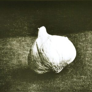 “Garlic” © Barry Mayfield. Approx. 8.5X10.5” (21X27cm) handcrafted alternative process photograph (silver gelatin lith print). GALLERY5X7 offers this signed, original print.
