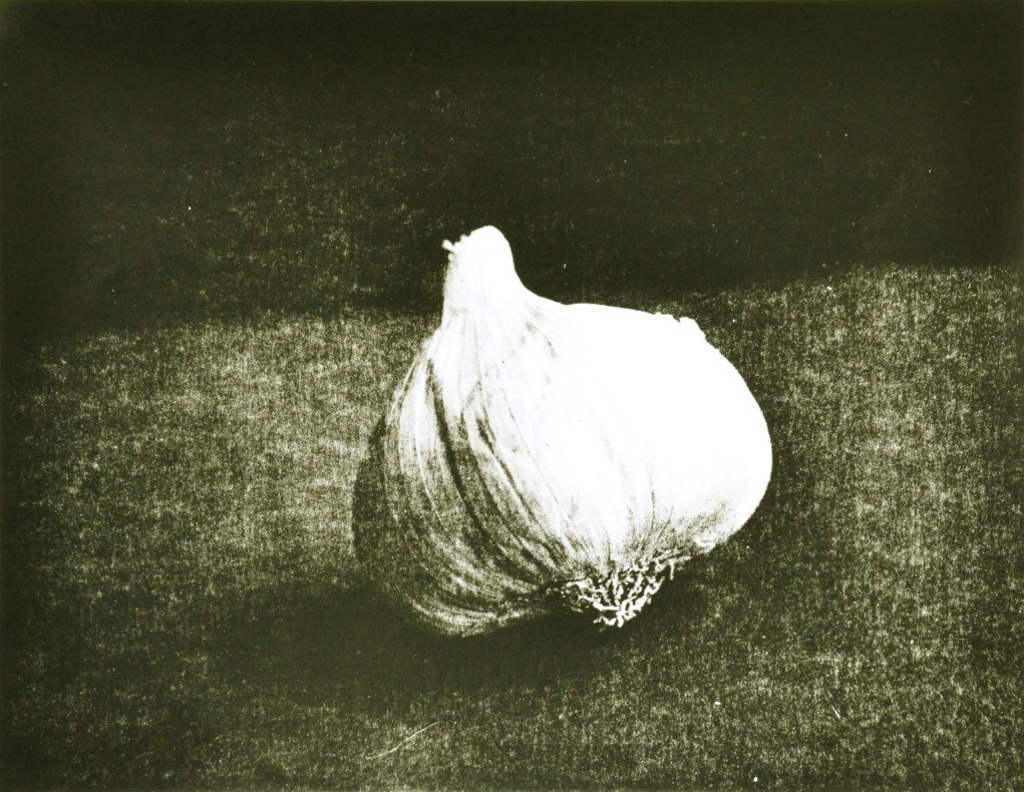 “Garlic” © Barry Mayfield. Approx. 8.5X10.5” (21X27cm) handcrafted alternative process photograph (silver gelatin lith print). GALLERY5X7 offers this signed, original print at $250.