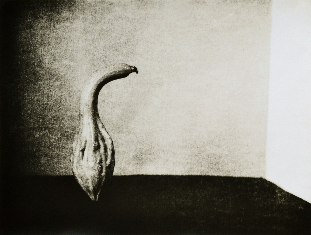 “Gourd 2” © Barry Mayfield. Approx. 8X10.5“ (20X27cm) handcrafted alternative process photograph (silver gelatin lith print). GALLERY5X7 offers this signed, original print at $250.