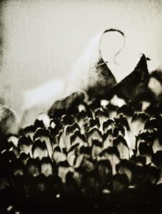 “Sunflower” © Barry Mayfield. Approx. 8X10.5“ (20X27cm) handcrafted alternative process photograph (silver gelatin lith print). GALLERY5X7 offers this signed, original print.