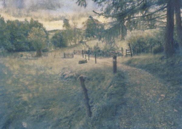 "Pausilipon" © Alex Mavromaras. Early morning walk in the park. Approx. 8.5x6.5" (22x17cm) handcrafted alternative process photograph (toned cyanotype on vellum, etched and painted over with drawing and watercolor pencils). GALLERY5X7 offers this signed, original print.
