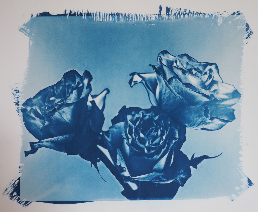 "3 Graces" © Annemarie Borg-Antara. Approx. 8x10" (20x25cm) handcrafted alternative process photograph (cyanotype) on Hahnemühle Platinum rag paper. This is the first print of a series of thtee, all from the same photograph but printed with different processes. Original, signed and editioned print offered by GALLERY5X7.