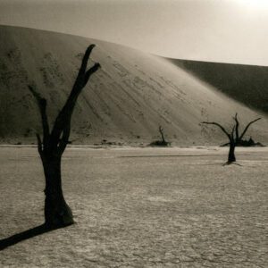"Deadvlei, White Clay Pans At Sunset, Nambia" © Mohan Bhasker. I caught this moment at sunset. Deadvlei is one of the most unique places of Namibia. It is a famous White Clay pan which is situated near the Sossusvlei. The trees in Deadvlei died around 1000 years ago. It became too dry for the trees to even decompose - they simply scorched black in the sun, monuments to their own destruction. Approx. 6x9" (15x23cm) or 12x18" (31x46cm) handcrafted alternative process photograph (platinum/palladium) on Revere Platinum. Signed, original editioned (1/10) print offered by GALLERY5X7.