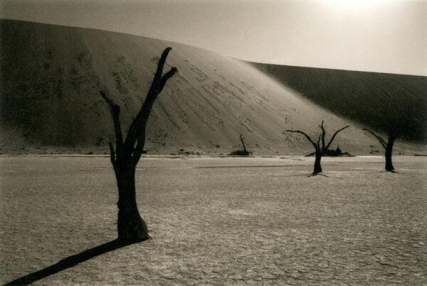 "Deadvlei, White Clay Pans At Sunset, Nambia" © Mohan Bhasker. I caught this moment at sunset. Deadvlei is one of the most unique places of Namibia. It is a famous White Clay pan which is situated near the Sossusvlei. The trees in Deadvlei died around 1000 years ago. It became too dry for the trees to even decompose - they simply scorched black in the sun, monuments to their own destruction. Approx. 6x9" (15x23cm) or 12x18" (31x46cm) handcrafted alternative process photograph (platinum/palladium) on Revere Platinum. Signed, original editioned (1/10) print offered by GALLERY5X7.