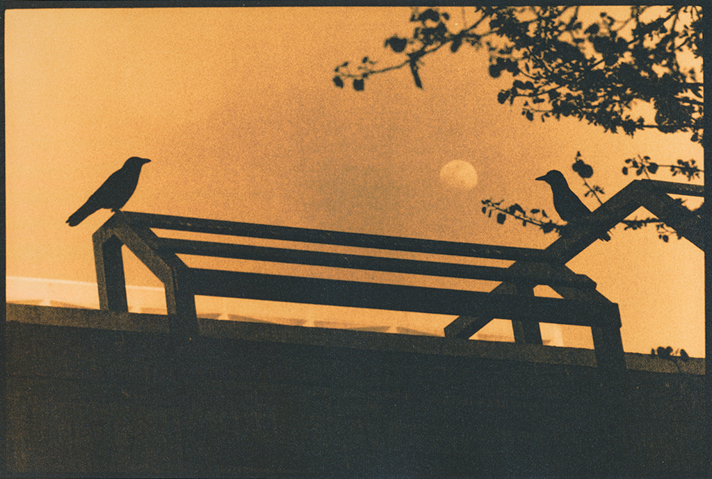 "Raven And Moon 2" © Marek Majewski. Approx. 9.5x12" (24x30.5cm) handcrafted alternative process photograph (silver gelatin lith print) on Foma paper. Signed, original, editioned print (limited to 10) offered by GALLERY5X7.
