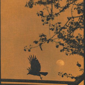 "Raven And Moon" © Marek Majewski. Approx. 9.5x12" (24x30.5cm) handcrafted alternative process photograph (silver gelatin lith print) on Foma paper. Signed, original, editioned print (limited to 10) offered by GALLERY5X7.