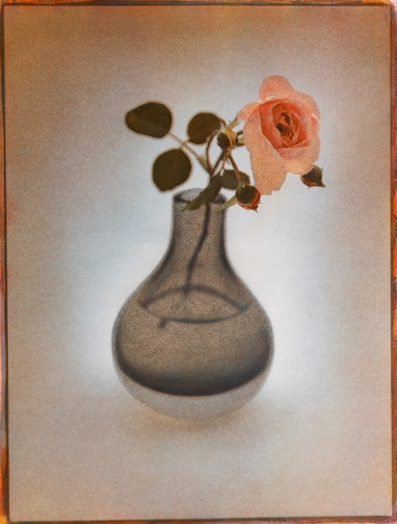 "Rose In Black Vase #03" © Graciana Piaggio. Approx. 9x12“ (23x30cm) handcrafted alternative process photograph (eight-color gum bichromate over cyanotype) on Hahnemühle Platinum Rag. Signed original print offered by GALLERY5X7.