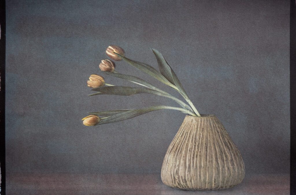 "Tulips In Ceramic Vase" © Graciana Piaggio. Approx. 9x12“ (23x30cm) handcrafted alternative process photograph (tri-color gum bichromate over ziatype over cyanotype) on Hahnemühle Platinum Rag. Signed original print offered by GALLERY5X7.