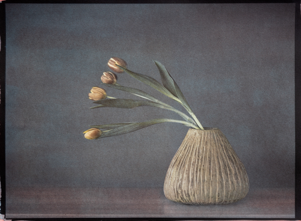 "Tulips In Ceramic Vase" © Graciana Piaggio. Approx. 9x12“ (23x30cm) handcrafted alternative process photograph (tri-color gum bichromate over ziatype over cyanotype) on Hahnemühle Platinum Rag. Signed original print offered by GALLERY5X7.